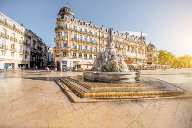 Coeur Lumiere Appartement Montpellier