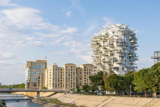 Coeur Lumiere Appartement